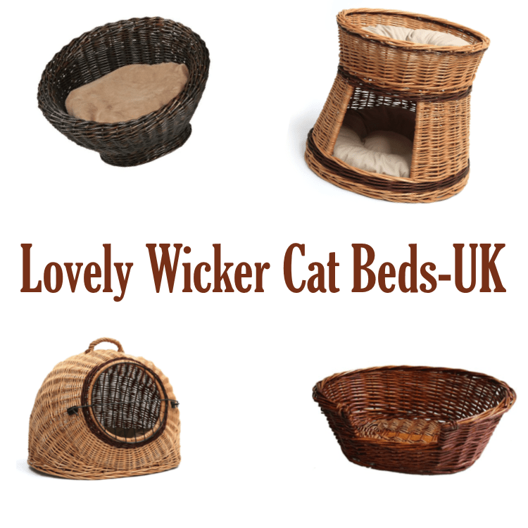 Cat Wicker Beds UK